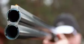 70-годишен застреля крадец в лозето си