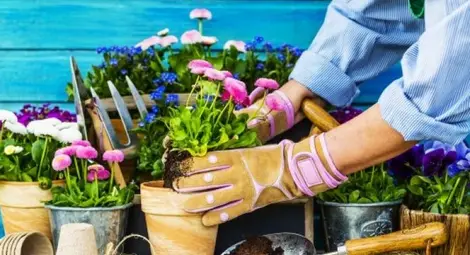 Какво цвете сте според зодията?