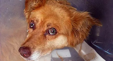 Снимката е илюстративна