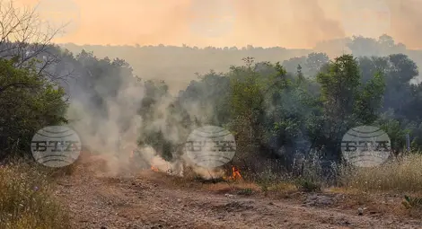 Снимка: БТА