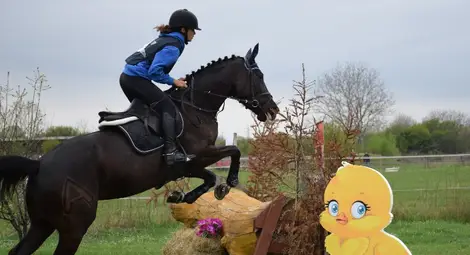 Два русенски медала на първия от серията домакински турнири по всестранна езда