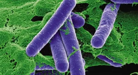 Учени откриха най-смъртоносното вещество в света 