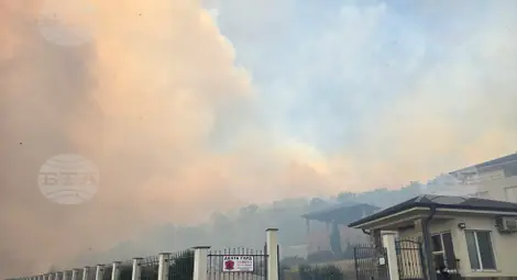 Снимка: БТА