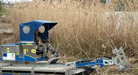 1500 спортисти от 5 континента идват в Русе за Световното първенство по драконови лодки