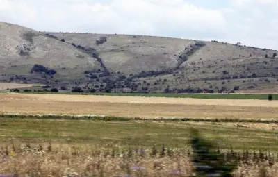 Пороите съсипаха 4000 декара жито