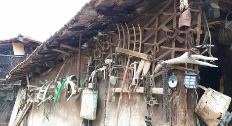 Кошовските братя