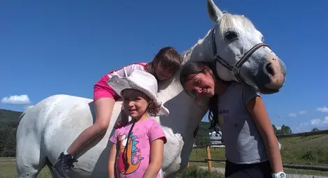 Конете четат по лицата на хората