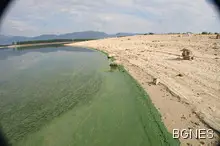 Зелена слуз по брега на яз. "Копринка" стресна рибари и туристи