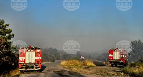 Снимка: БТА