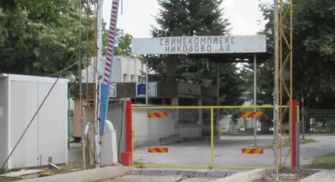 Нов собственик на свинекомплекса в Николово дни преди чумата
