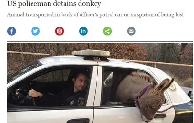 Полицията в американския щат Оклахома &bdquo;арестува&ldquo; магаре