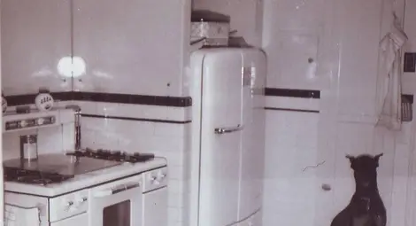 Не ме титулувай повече Искович. Тази фамилия е умряла за мене