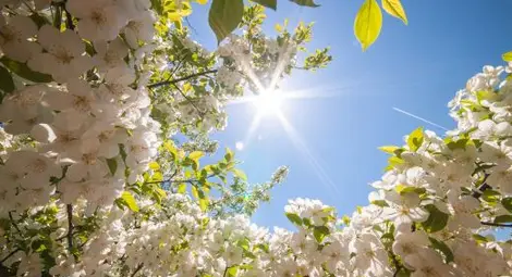 Аномалии през април! Температурите ще варират от -2 до 30 градуса