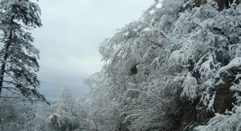 Сняг ще вали в цялата страна