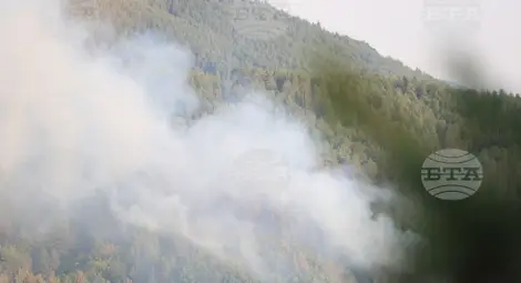 Снимка: БТА