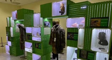 Палто от бенгалска котка предупреждава за изчезващите ценни видове животни