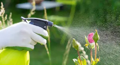 Разясняват изискванията при употреба на продукти за растителна защита и торове