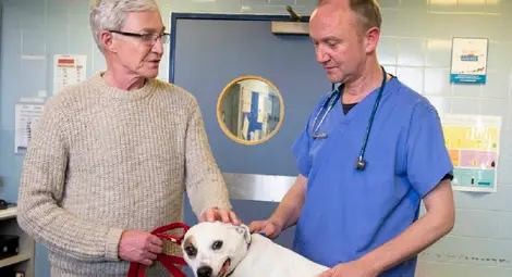 Поредицата &bdquo;Пол О'Грейди за любовта към кучетата&ldquo; по Viasat Nature проследява  историите на изоставени четириноги /галерия/