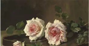 Царската роза - изчезналата благородна и безкрайно красива гостенка на Русе