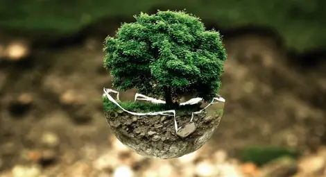 След 1 август човечеството ще живее в „екологичен дълг“ След 1 август човечеството ще живее в „екологичен дълг“