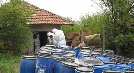 Съседско коте разплита коварно убийство заради забранена любов Съседско коте разплита коварно убийство заради забранена любов