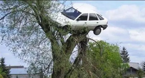 Мистерия: Автомобил кацна на дърво