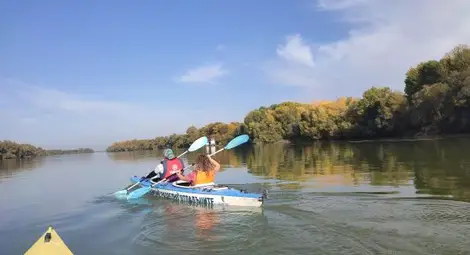 Обход с каяк в търсене на бобри по река Дунав. Снимка: Екипът на проекта