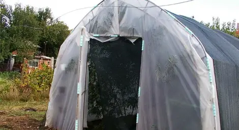 Реколта от 150 кг марихуана вкара в ареста наркофермери