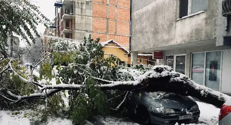 Снимката е илюстративна, от 26 ноември миналата година, когато тежък сняг прекърши много клони и дървета и нанесе поражения в различни райони от Русе. Снимка: Митко АНДРЕЕВ Снимката е илюстративна, от 26 ноември миналата година, когато тежък сняг прекърши много клони и дървета и нанесе поражения в различни райони от Русе. Снимка: Митко АНДРЕЕВ