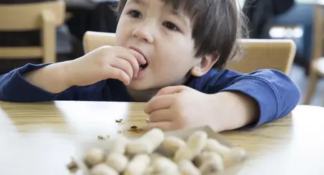 Лекари препоръчват бебетата отрано да консумират фъстъци