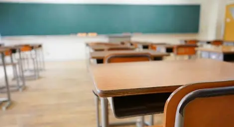 Учениците пак излизат в грипна ваканция Учениците пак излизат в грипна ваканция