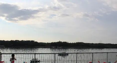 Русе отбеляза Деня на река Дунав /галерия/