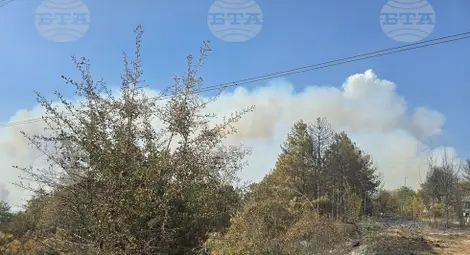 Снимка: БТА