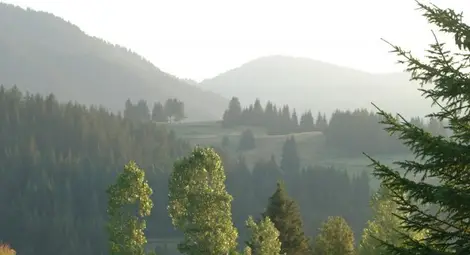 Слънчево и тихо ще е днес Слънчево и тихо ще е днес