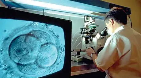 През 2012 г. са подадени 3704 заявления за ин витро процедури