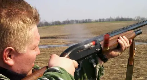 Ловният сезон на пъдпъдъци и гургулици се открива на 9 август