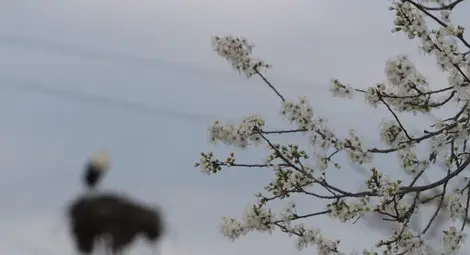 Какво време ни очаква до края на март