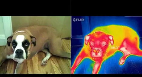 Смартфонът ви ще вижда в тъмното с Flir One