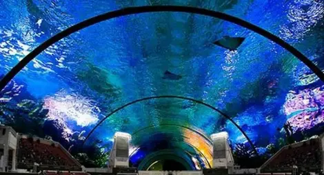 Най-новото от Дубай: Подводен тенис стадион