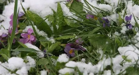 Капризите на Баба Марта - от минус 8 до плюс 22 градуса