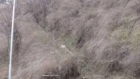 Римските тунели край Дунав превърнати в клошарски бърлоги