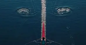 Майсторът на дрона Явор Мичев с пореден златен медал за фотография