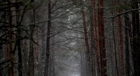 Облачността се увеличава, ще има и валежи от дъжд