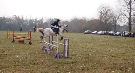 Турнир по конен спорт в  Сандрово за събора на селото