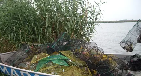 Конфискуваха 380 метра  бракониерски мрежи