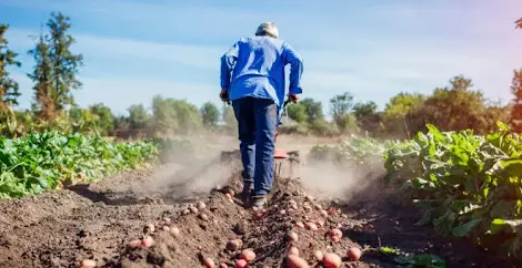 До края на декември земеделците избират как да облагат доходите си за 5 години напред