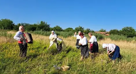 Венци от билки сплетоха за Еньовден в община Ценово