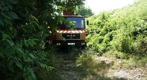 Поголовна сеч на Левента заради новата панорамна площадка