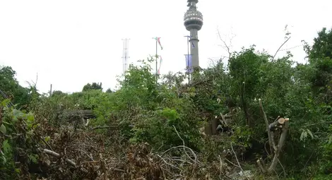 Поголовна сеч на Левента заради новата панорамна площадка