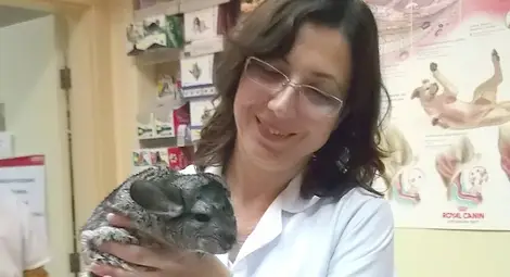 Българските кучета и котки страдат от агресия като цялото общество Българските кучета и котки страдат от агресия като цялото общество